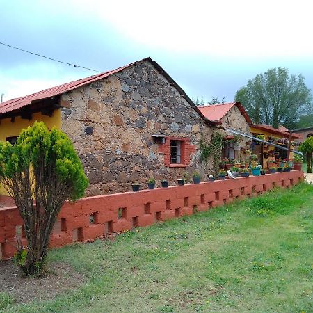 Cabanas Las Margaritas Huasca de Ocampo Buitenkant foto