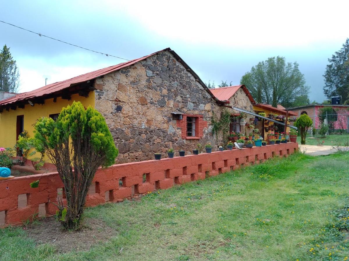 Cabanas Las Margaritas Huasca de Ocampo Buitenkant foto